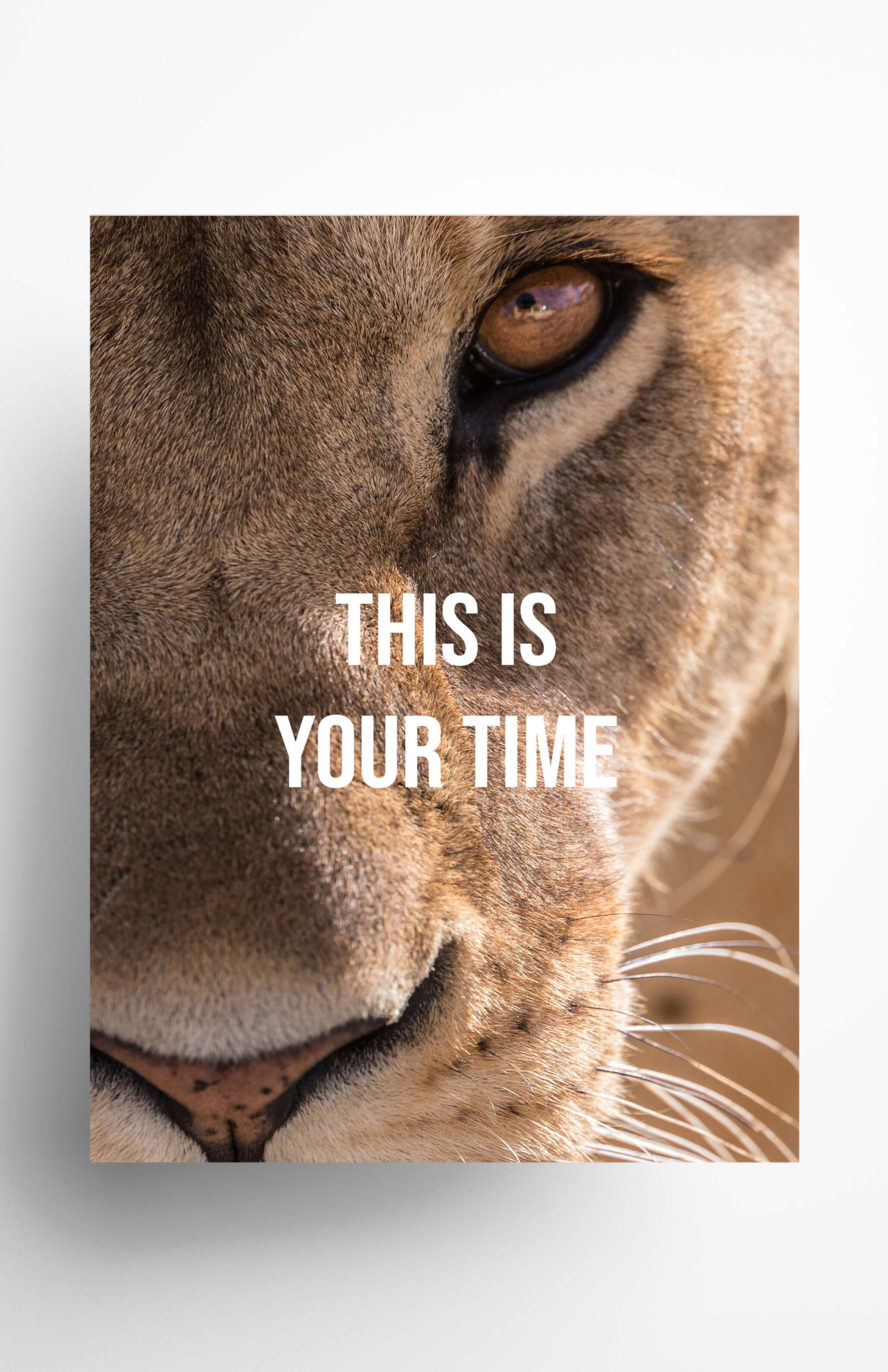 V3 Apparel womens This is Your Time, Motivational posters, mens inspirational wall artwork and empowering poster quote designs for office, home gym, school, kitchen and living room.