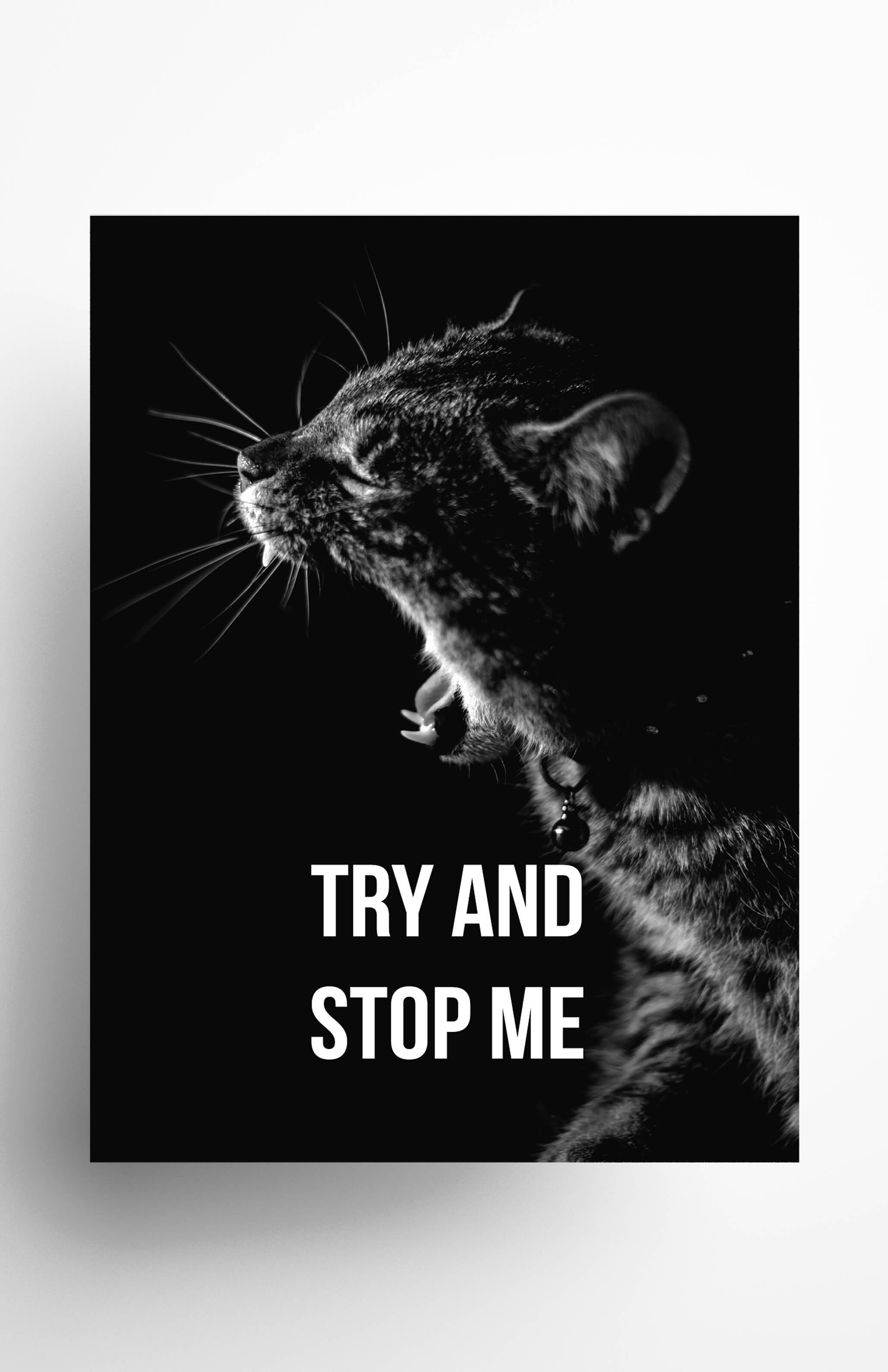 V3 Apparel womens Try and Stop Me, Motivational posters, mens inspirational wall artwork and empowering poster quote designs for office, home gym, school, kitchen and living room.